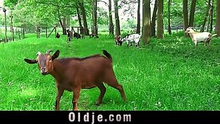 fat ugly mom fucks son