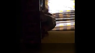 old cat with anal leakage